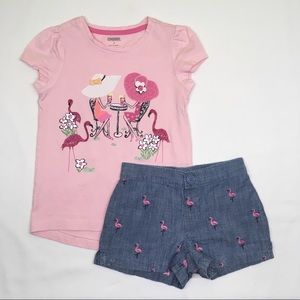 Gymboree Tee and Shorts Set